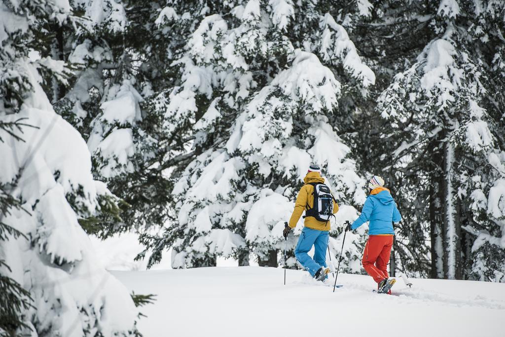 Alpenpension Pfurtscheller نيوستيف ام ستوبيتا المظهر الخارجي الصورة