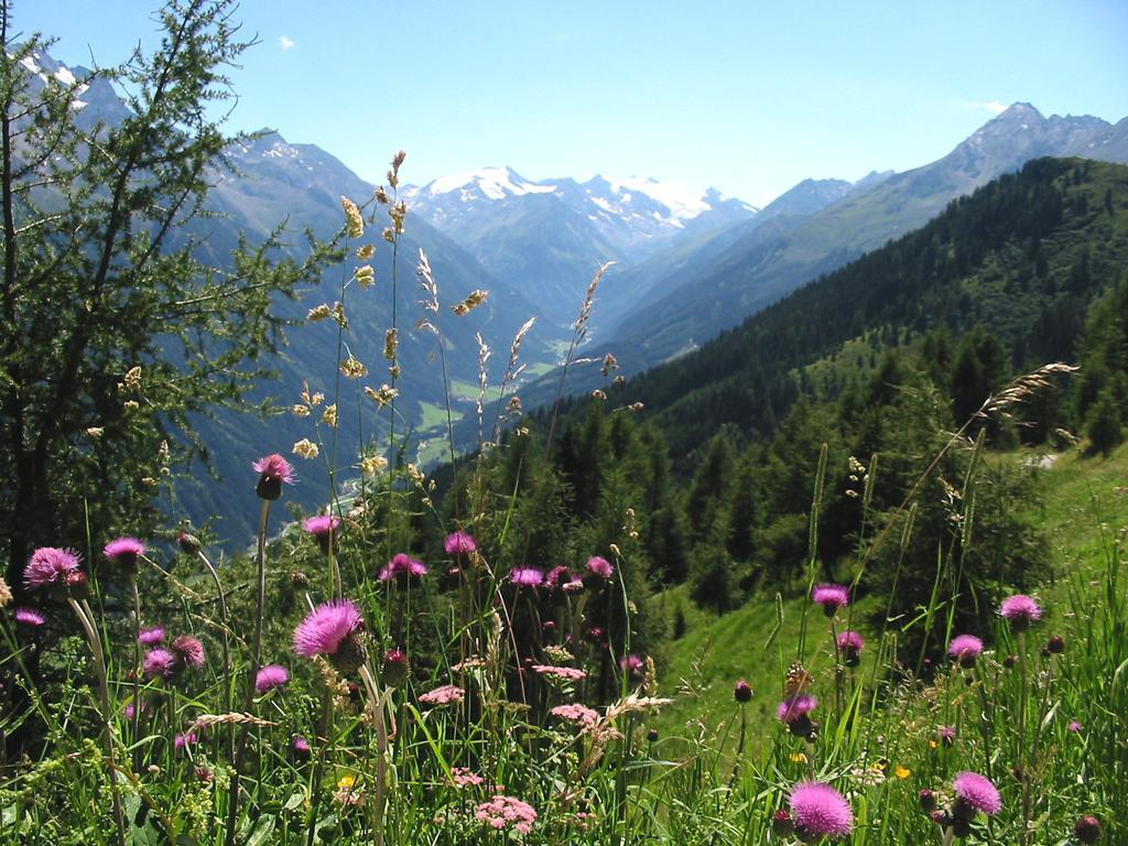 Alpenpension Pfurtscheller نيوستيف ام ستوبيتا المظهر الخارجي الصورة