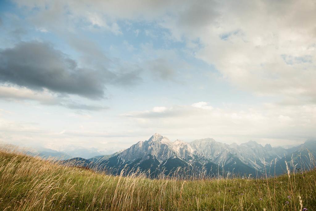 Alpenpension Pfurtscheller نيوستيف ام ستوبيتا المظهر الخارجي الصورة