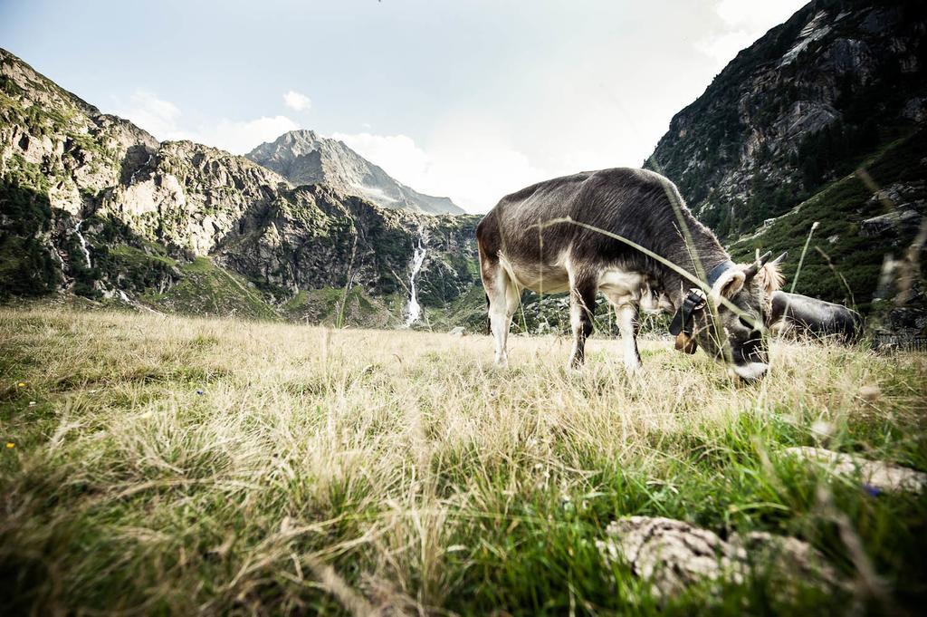 Alpenpension Pfurtscheller نيوستيف ام ستوبيتا المظهر الخارجي الصورة